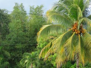 Emporis Resort - Dabadie - 6