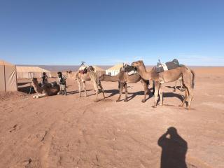 camp marhaba iriki - Alougoum - 2
