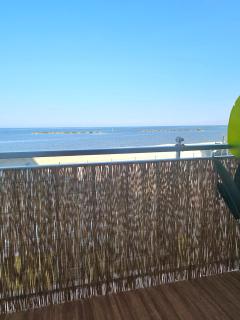 La suite (Sole) - Lido di Pomposa - 9