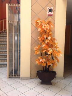 Plaza Jardin - Tequila - 6