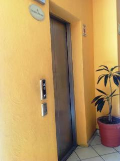 Plaza Jardin - Tequila - 5