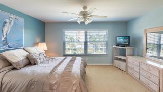 Essex S 503 - Marco Island - 4