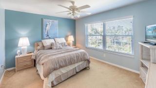 Essex S 503 - Marco Island - 3