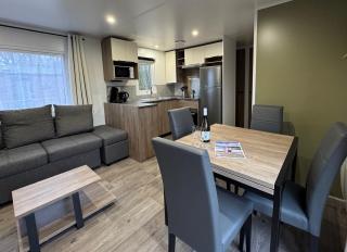 Chalet Flufstaart - Gasselte - 0