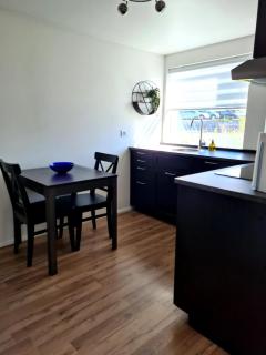 Cozy modern flat in Reykjavik Free parking - Reykjavik - 3