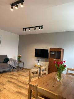 Apartament Dworska - 4