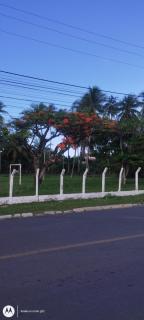 Lucy teles - Vera Cruz de Itaparica - 6