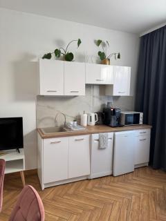 Dawna Mleczarnia Apartamenty SOSNOWY - Nowa Ruda - 7