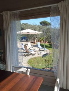 Oliveto Tuscany - Massa e Cozzile - 3
