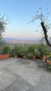 Oliveto Tuscany - Massa e Cozzile - 4