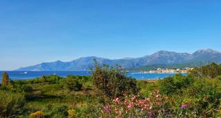 Charmant T3 avec Terrasse et Vue Panoramique sur le Golfe de Saint-Florent, à 300m de la plage de la Roya - Saint-Florent - 9