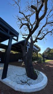 Villa El Árbol - - 7