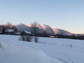 Sugar House Cottage close to Smugglers Notch - Cambridge - 1