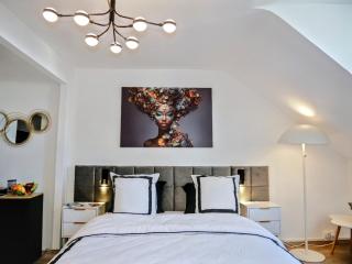 Nid douillet tout équipé, 6 min château d'Amboise - 9