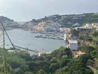 TERRAZZA SUL PORTO da STELLA - Ponza - 0