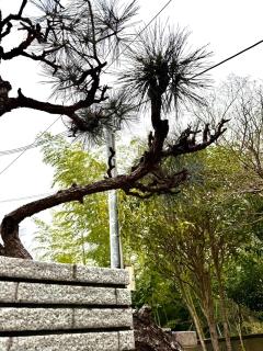 GREEN ViLLA南大阪 - - 7