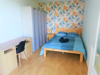 Spacious apartment bellevue - Brest - 5