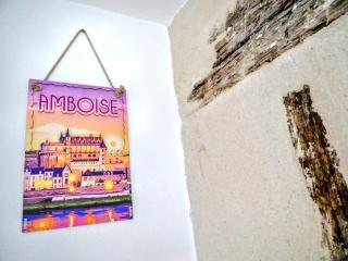 Nid douillet tout équipé, 6 min château d'Amboise - Amboise - 1