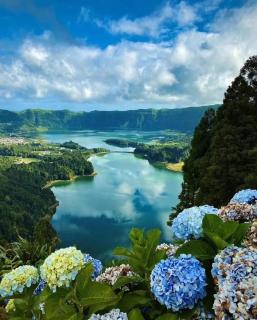 Bella Casa Bed and Breakfast - 2