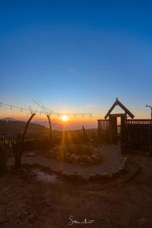 Skyridge Twilight - Nuwara Eliya - 4