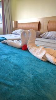 Beach class muro alto - 3