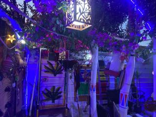 peace garden hostel & camp - Luxor - 4