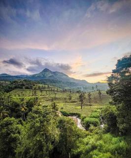 Mountain Serenity - Kalpetta - 7