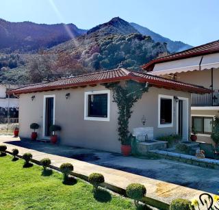 Vasia's Cozy House - 9