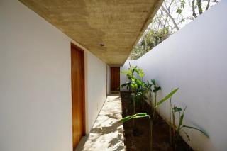 El Guayacan - Zipolite - 3