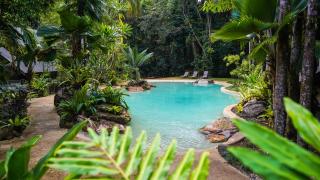 Ferntree Rainforest Lodge - Cape Tribulation - 9