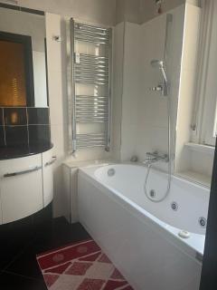 Rembrandt luxury apt san siro fiera ippodromo centro - Milan - 8
