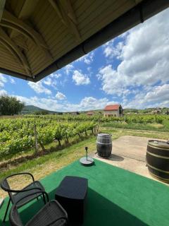 Lugas Apartman - Villány - 8