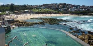 Ocean views Light-filled Bondi Beach Apartment - Sydney - 5