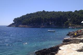 Apartments by the sea Cove Osibova, Brac - 23774 - Milna - 7