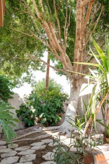 Casa Del Monte- Old Town Gem with Pool & Tennis - Scottsdale - 7