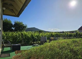 Lugas Apartman - Villány - 9
