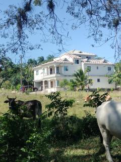 Villa Magante - La Yagua - 0