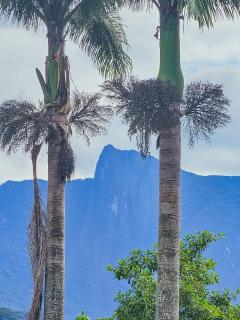 Pousada Ubatuba Villa Tupi - 2