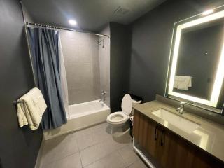 Exquisite Condo in Midtown - Atlanta - 8