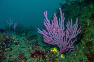 River view for two - 8