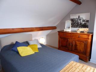 Maison rénovée à Franchesse avec grand jardin et animaux admis - FR-1-489-221 - 1