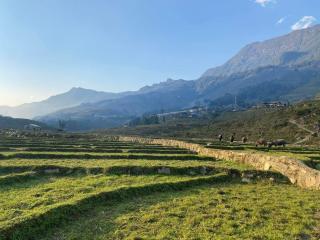Suong May Sapa Homestay & Trekking - Sa Pa - 5