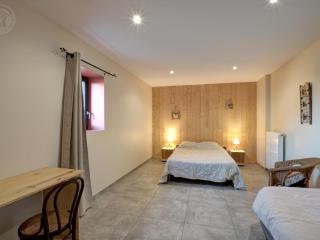 Gîte Familial 200m² avec Jardin, Terrasse, Jeux, et Confort Moderne à Chazelles-sur-Lyon - FR-1-496-203 - Chazelles-sur-Lyon - 1