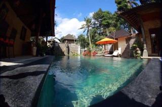 Dewata ubud - Ubud - 9