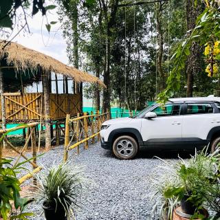 Clements holiday kalpetta - Kalpetta - 0
