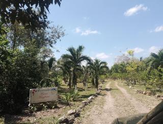 Apartment in Finca Mayfran - Xul-Ha - 9