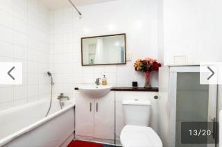 Modernized 1-Bedroom Flat in Croydon - Croydon - 1