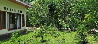 Amini Guest House - 1