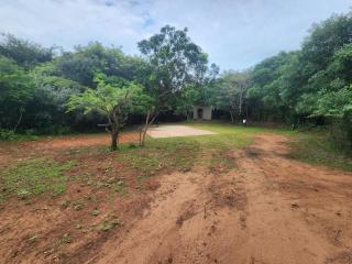 Mkumbi Nyala Campsite - - 9