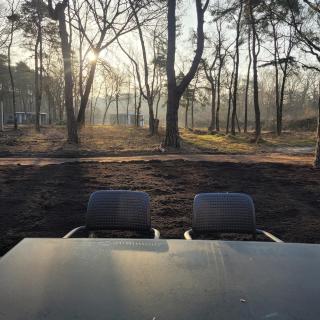 Sallands boschalet - 5